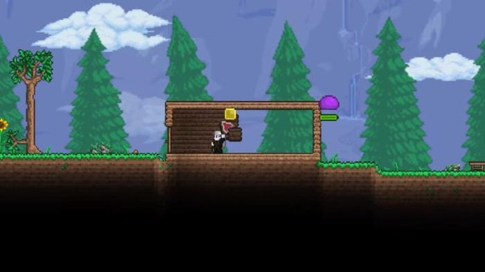 Фото: Terraria