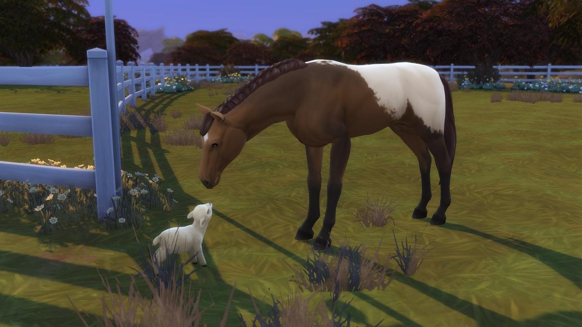 Фото: The Sims 4