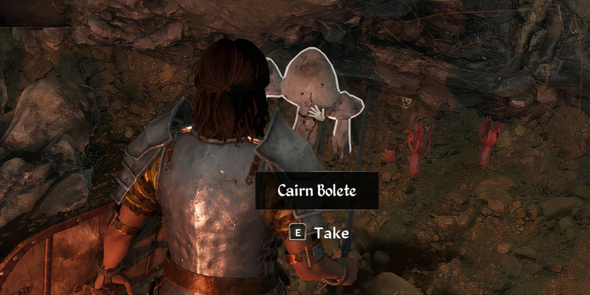 Фото: Oblivion Remastered