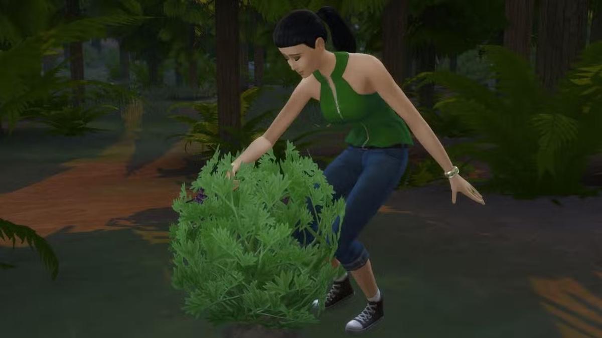 Фото: The Sims 4