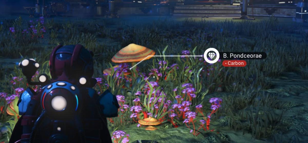 Фото: No Man's Sky