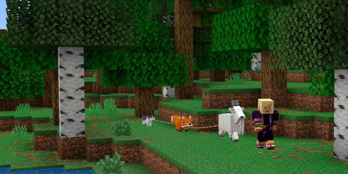 Фото: Minecraft