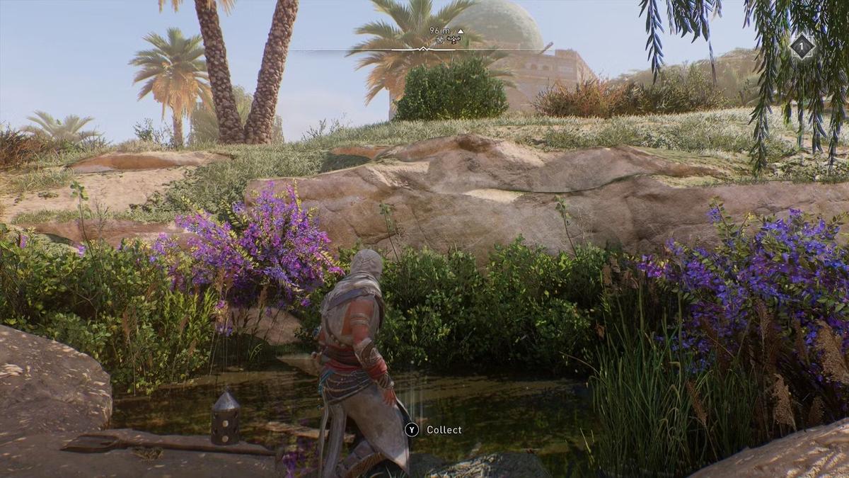 Басим в пруду. Фото: Assassin's Creed Mirage
