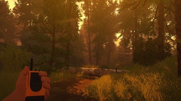 Одинокий пожарный наблюдатель выходит на патрулирование местности. Фото: Steam