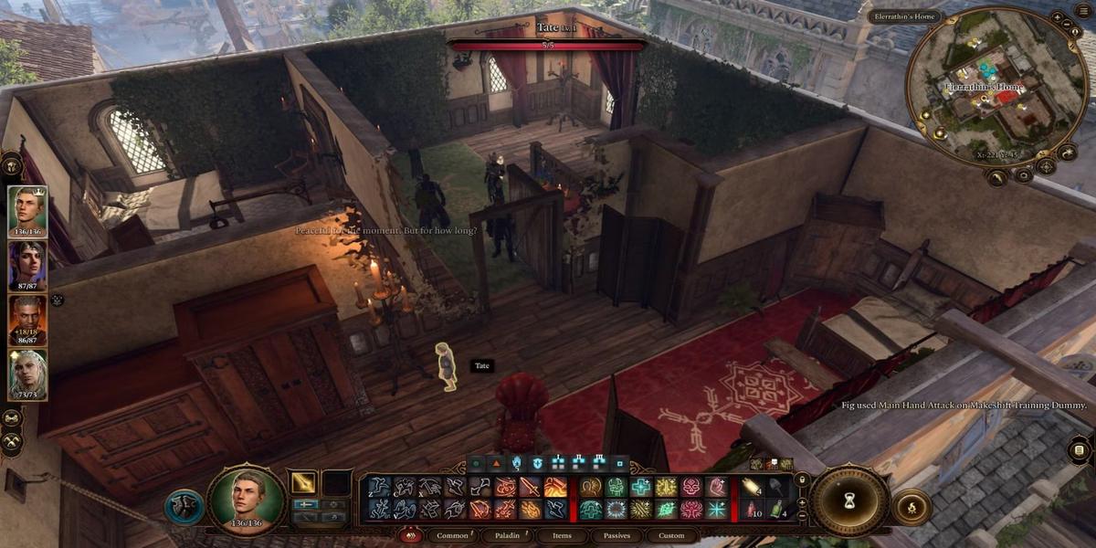 Фото: Baldur’s Gate 3