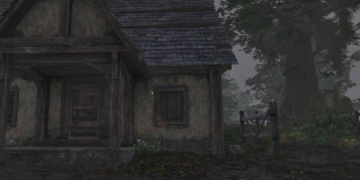 Фото: Oblivion Remastered