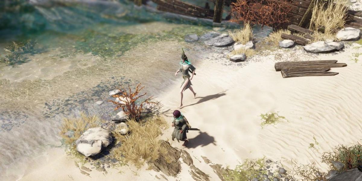 Фото: Divinity: Original Sin 2