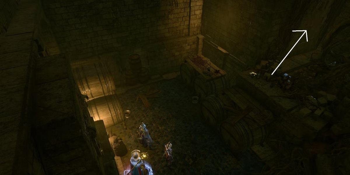 Подвал Краснеющей русалки. Фото: Baldur's Gate 3