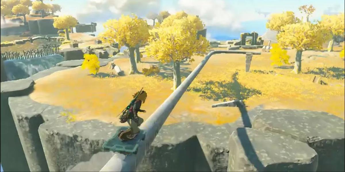 Фото: The Legend Of Zelda: Tears Of The Kingdom