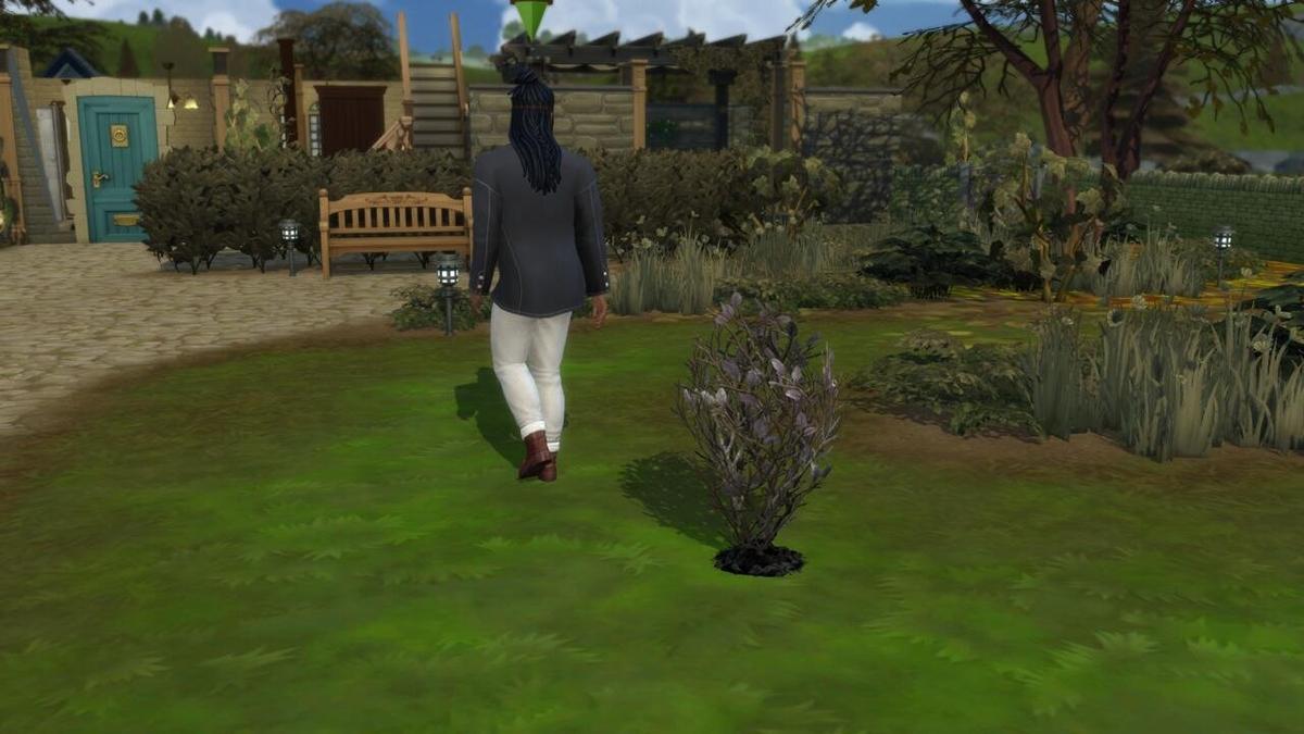 Фото: The Sims 4