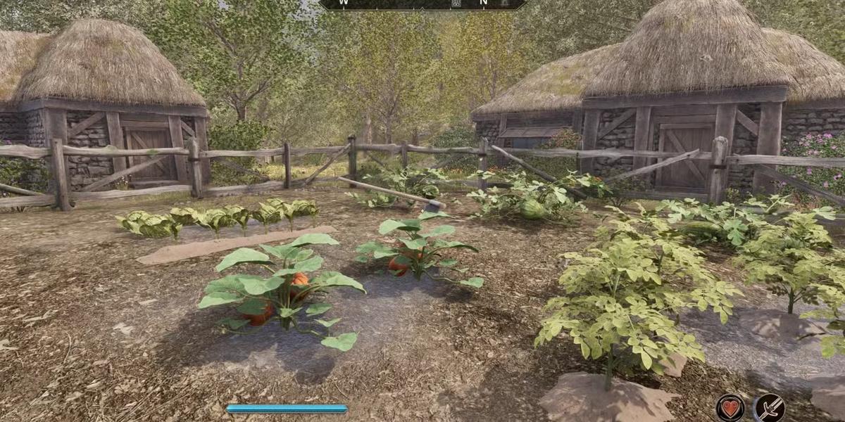 Фото: Oblivion Remastered