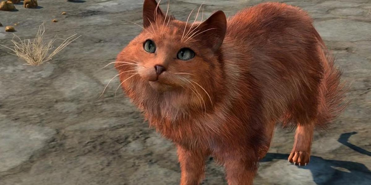 Рыжая кошка. Фото: Baldur's Gate 3