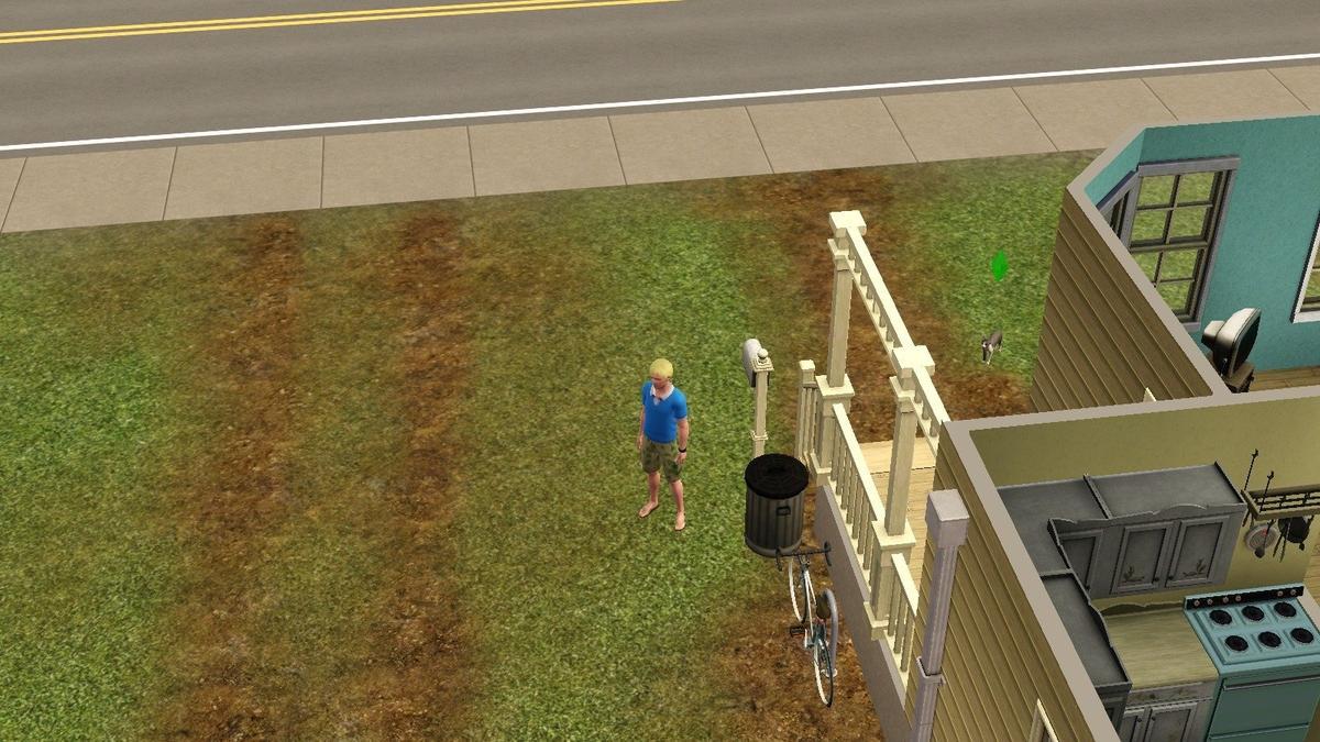 Фото: The Sims 3