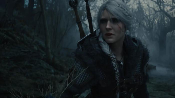 Фото: The Witcher 4