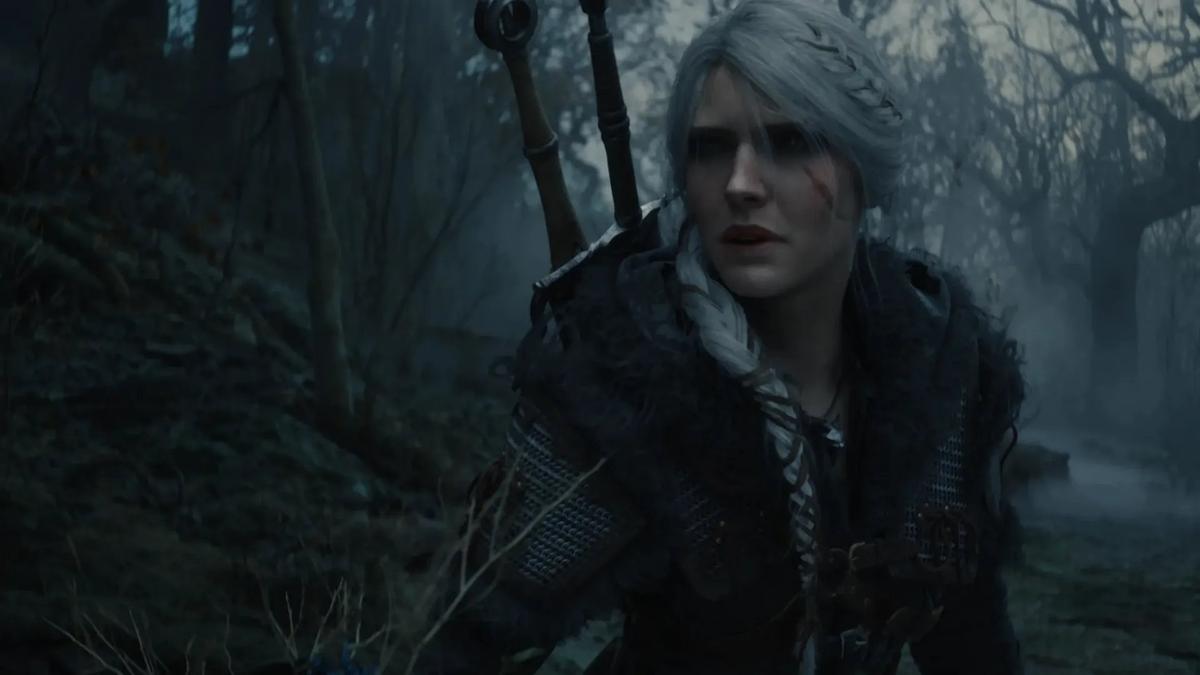 Фото: The Witcher 4