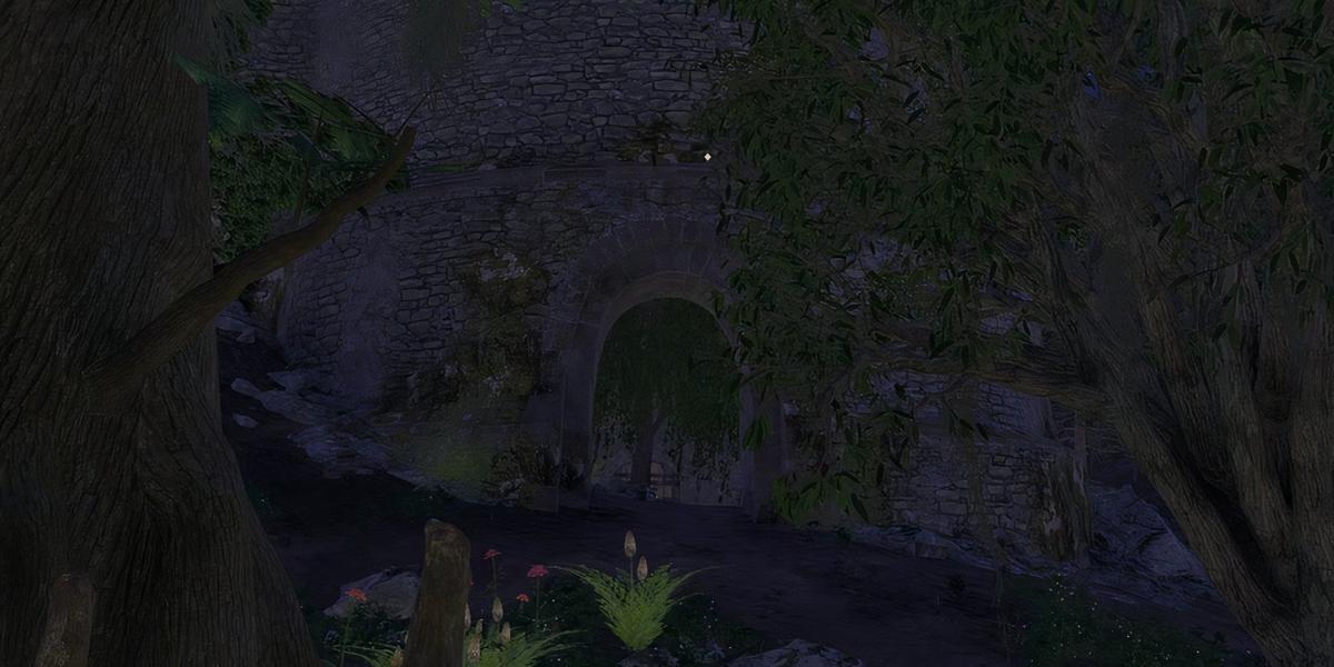 Фото: Oblivion Remastered