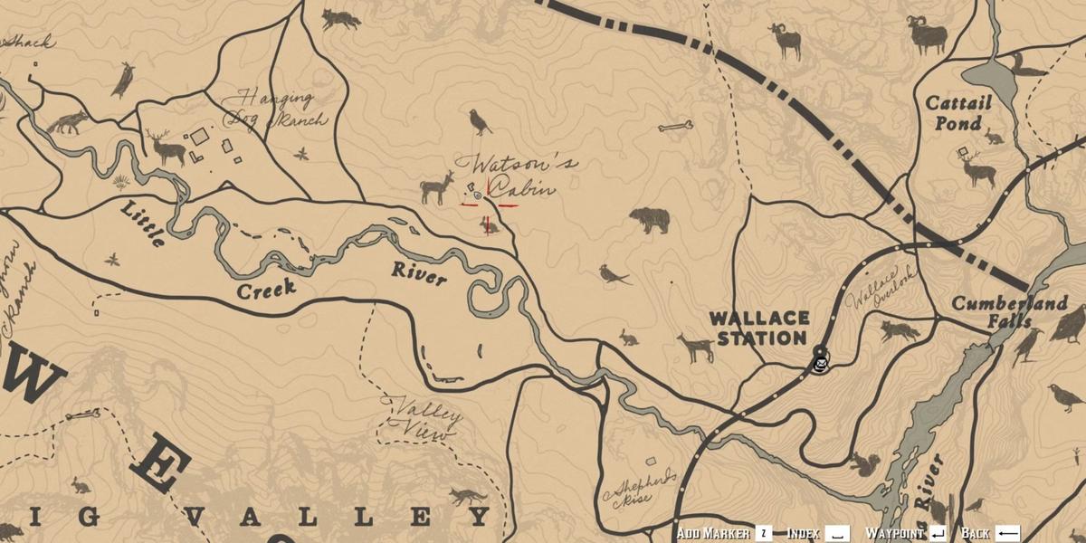 Фото: Red Dead Redemption 2