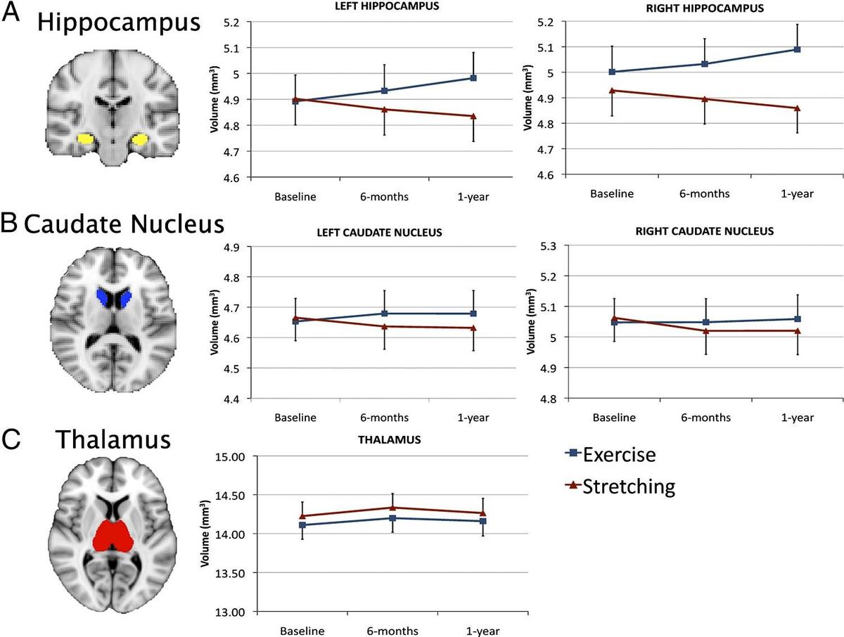 Фото: pnas