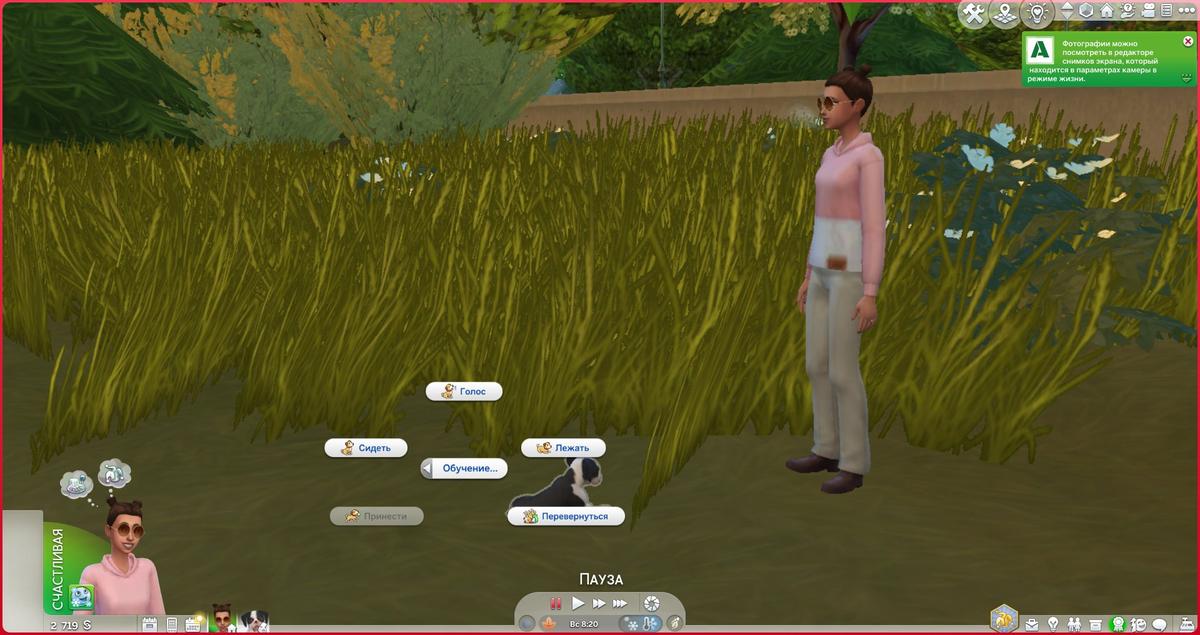 Команда. Фото: The Sims 4