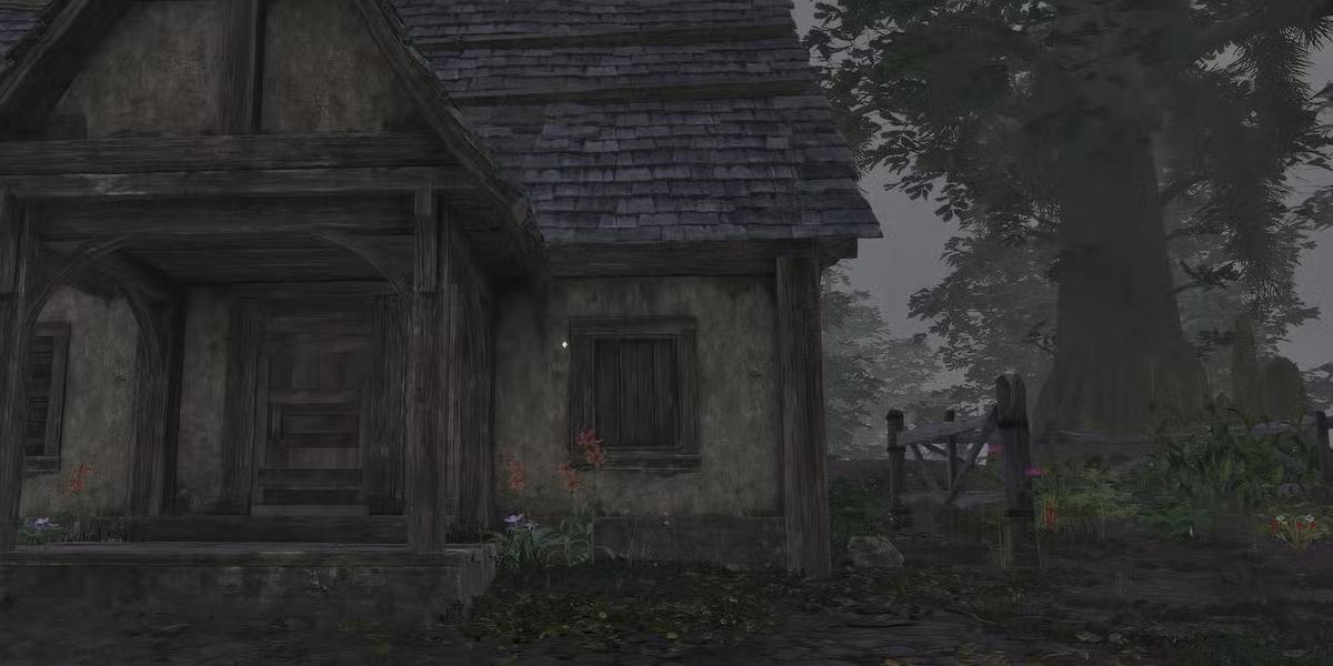 Фото: Oblivion Remastered