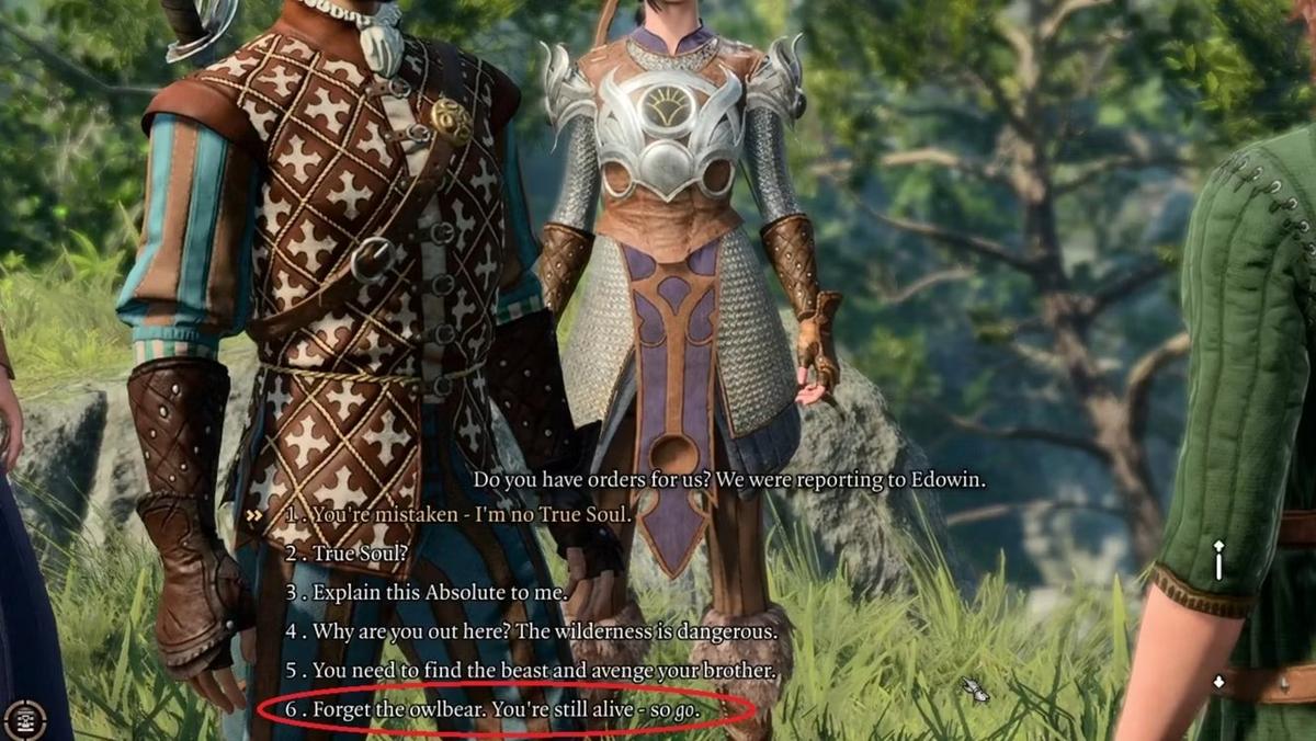 Решения. Фото: Baldur's Gate 3