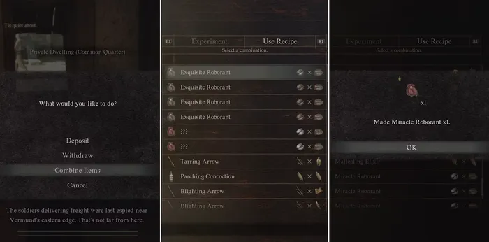 Фото: Dragon’s Dogma 2