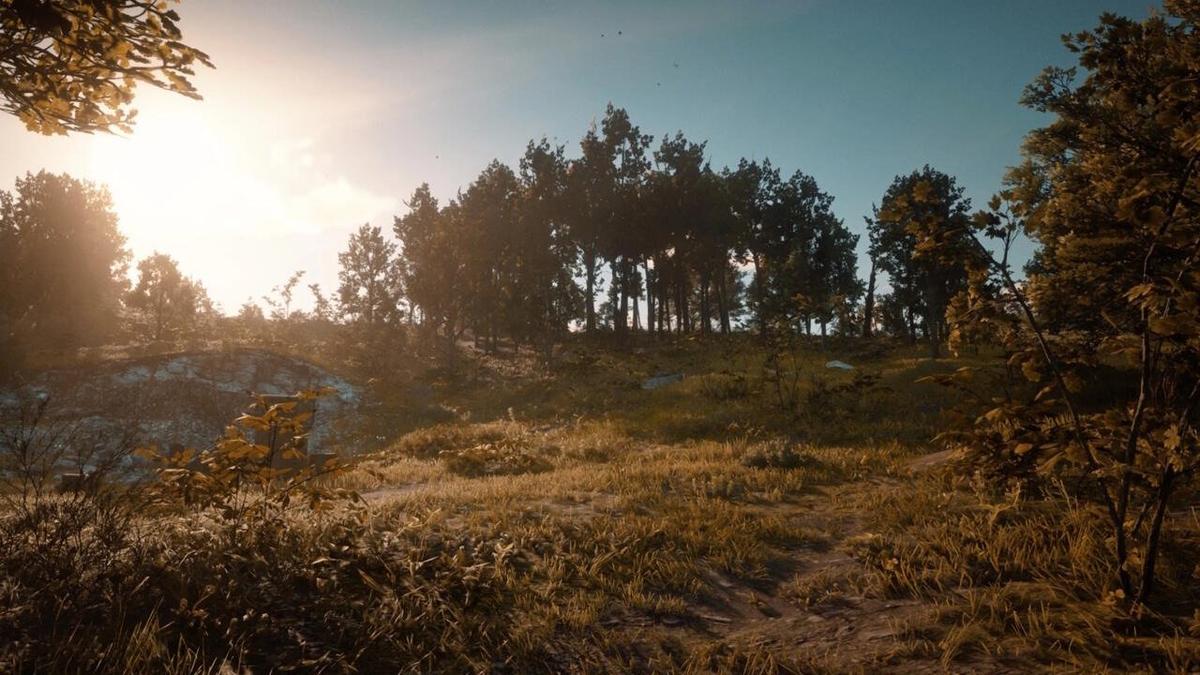 Фото: Red Dead Redemption 2