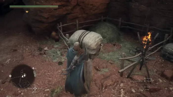 Фото: Dragon's Dogma 2