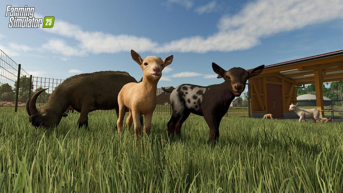 Фото: Farming Simulator 25