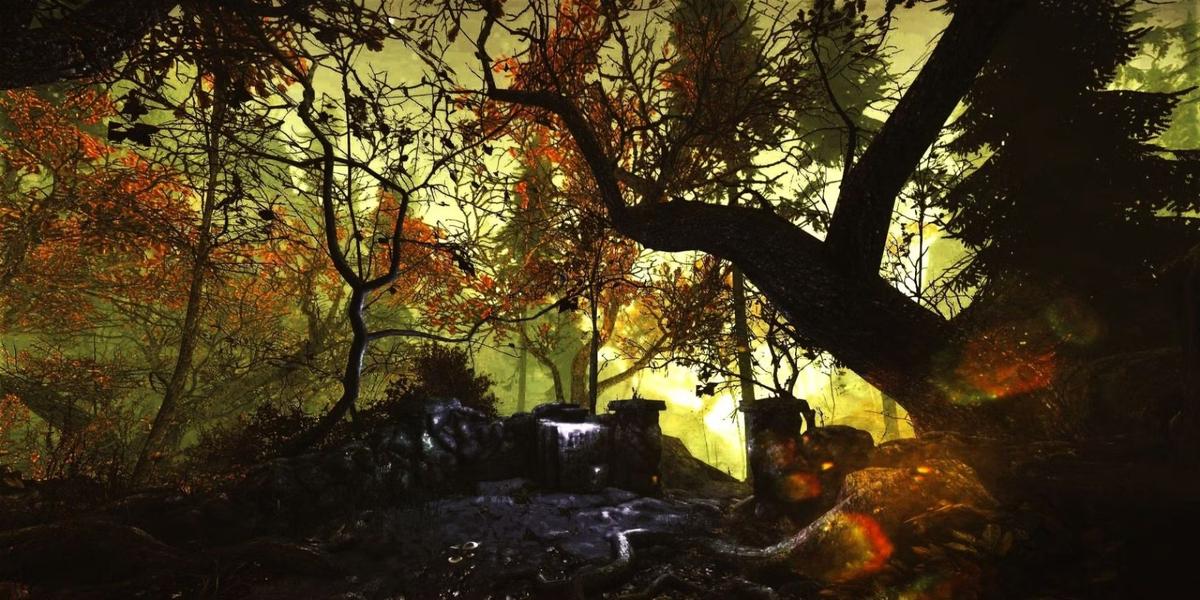 Фото: The Cursed Forest