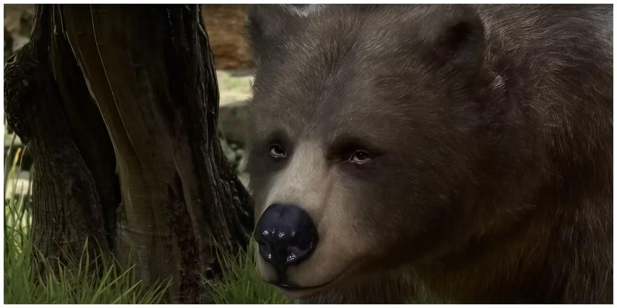 Диалог можно вести с Bosk The Bear. Фото: Baldur's Gate 3