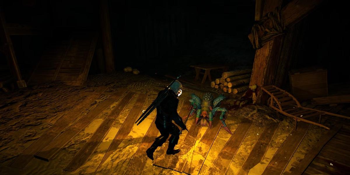 Фото: The Witcher 3