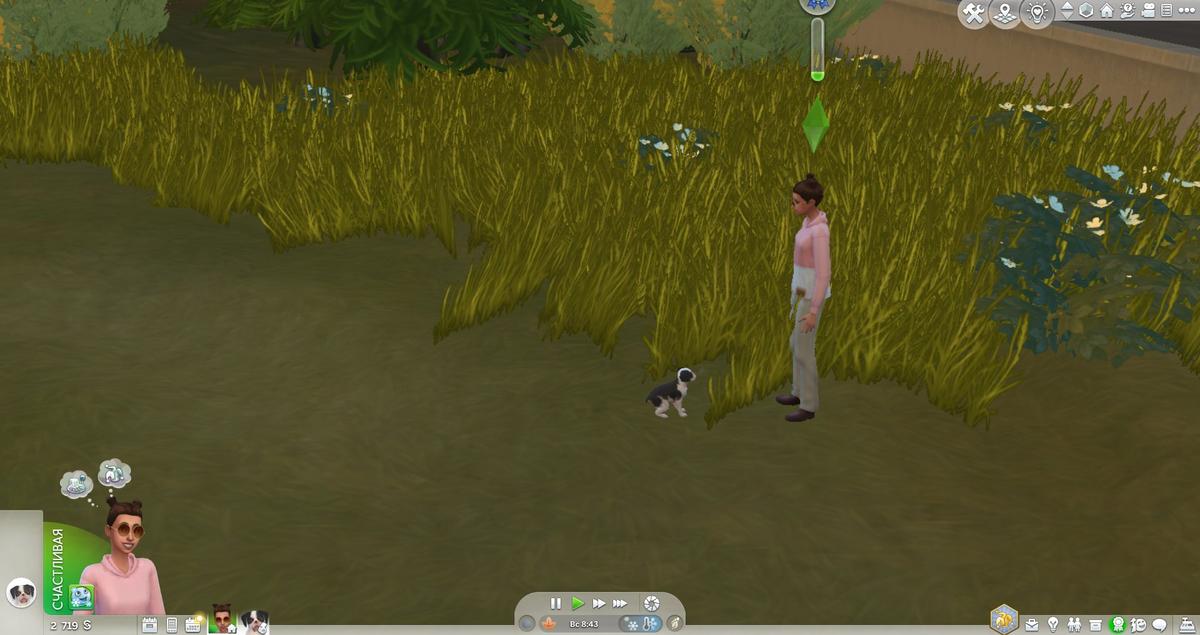 Собака. Фото: The Sims 4