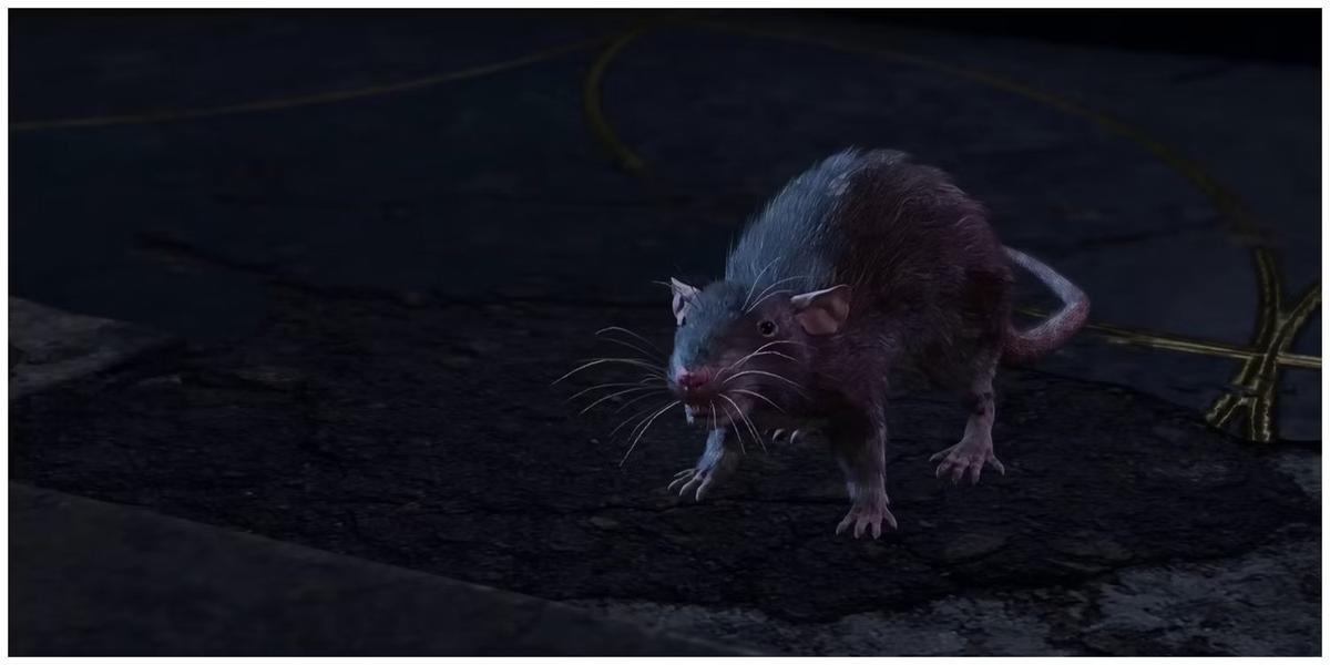 Разговор можно завести в Lyrthindor Rats. Фото: Baldur's Gate 3