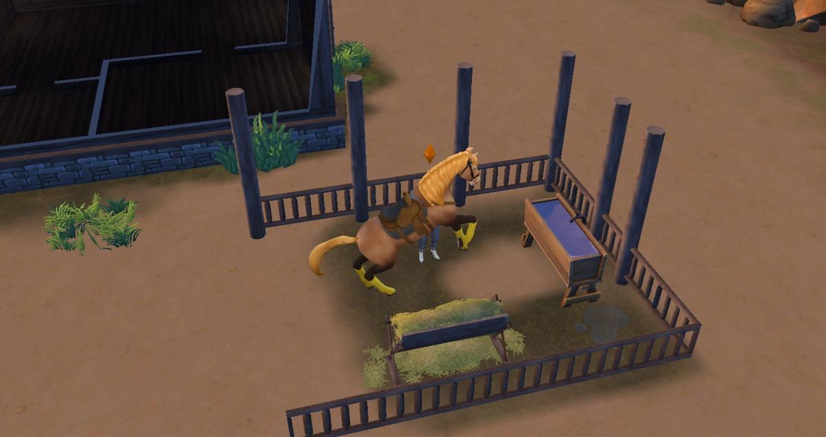Лошади нужны поилка, кормушка. Фото: The Sims 4