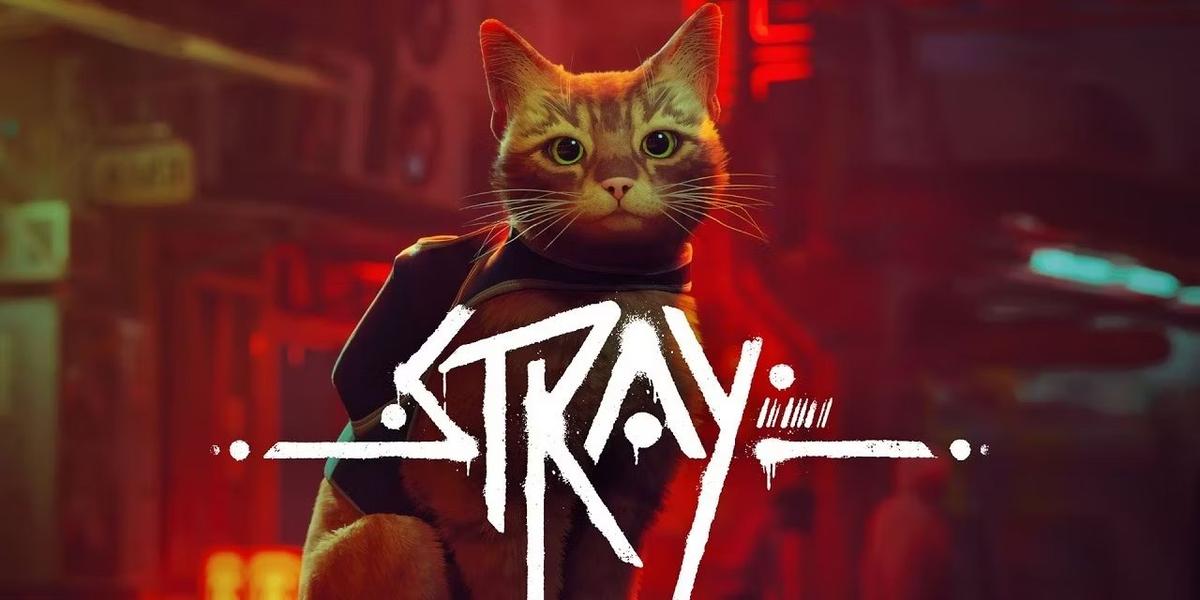 Рыжий кот выходит в путешествие с дроном. Фото: Stray