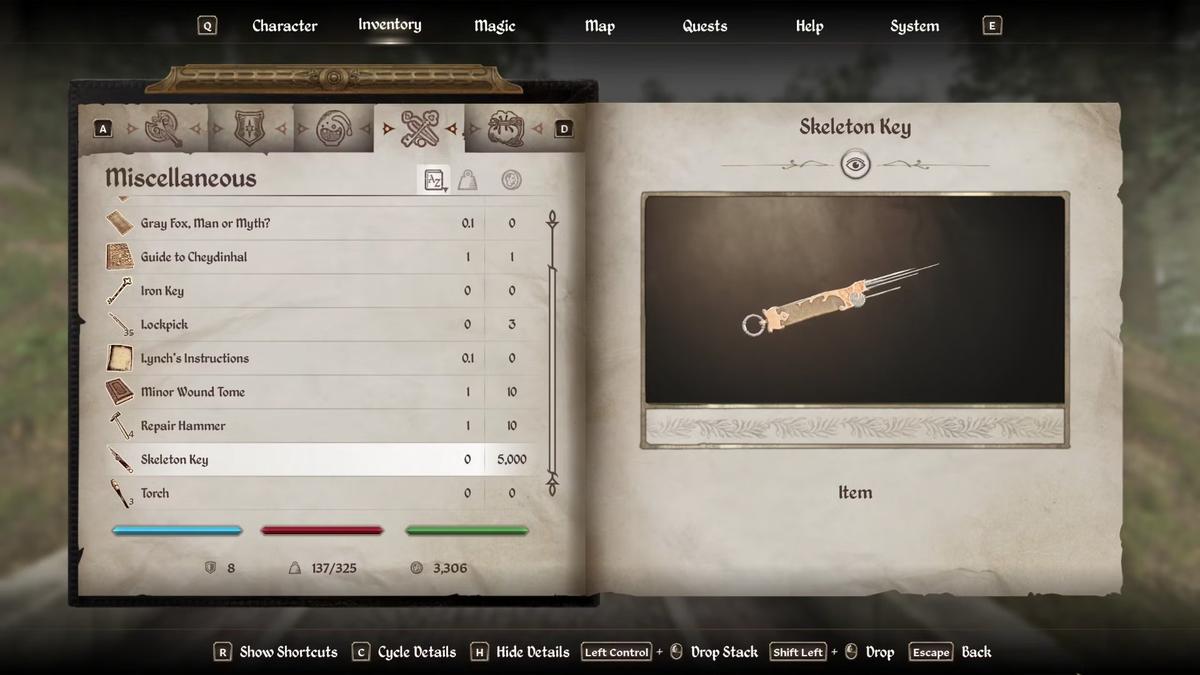 Фото: Oblivion Remastered