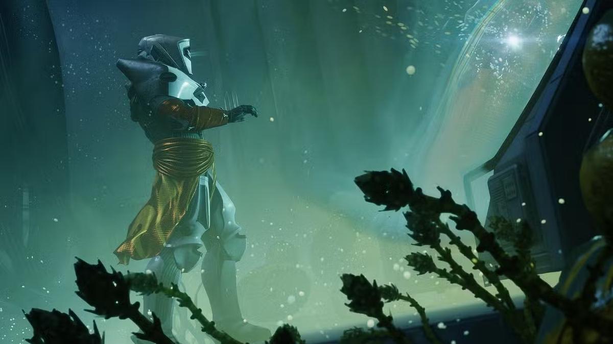 Фото: Destiny 2