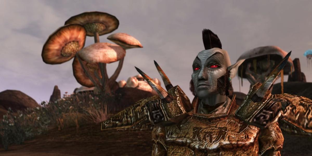 Фото: The Elder Scrolls 3: Morrowind