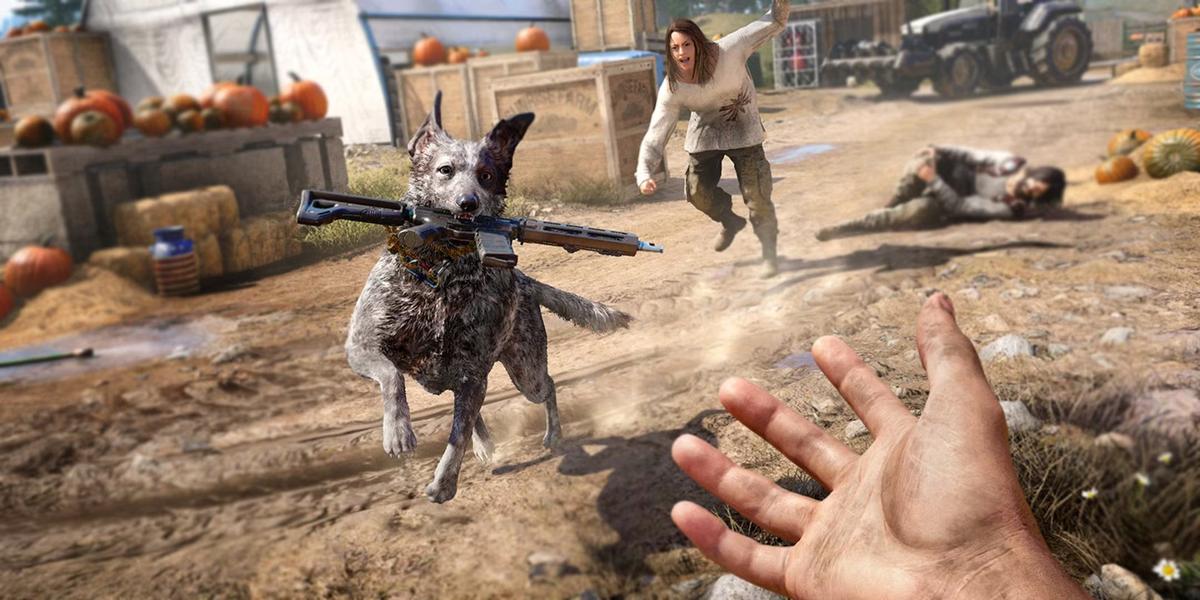 Фото: Far Cry 5