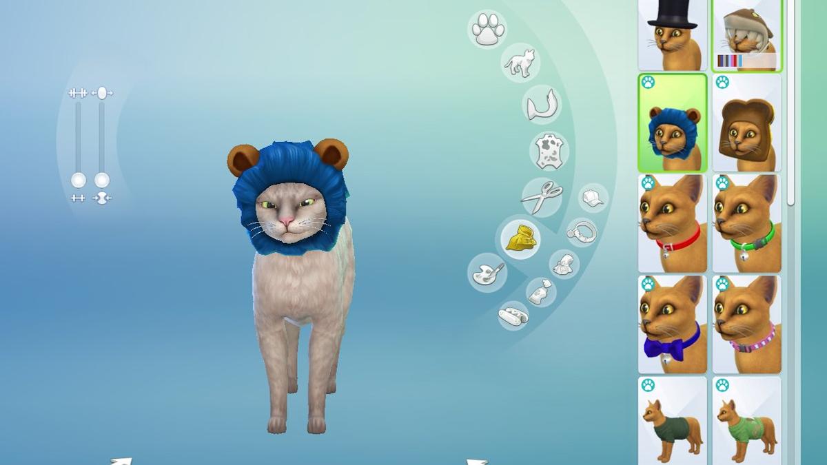 The Sims 4 «Кошки и собаки»: Кошачьи черты характера и что нужно для кошки в  игре — 64 бита