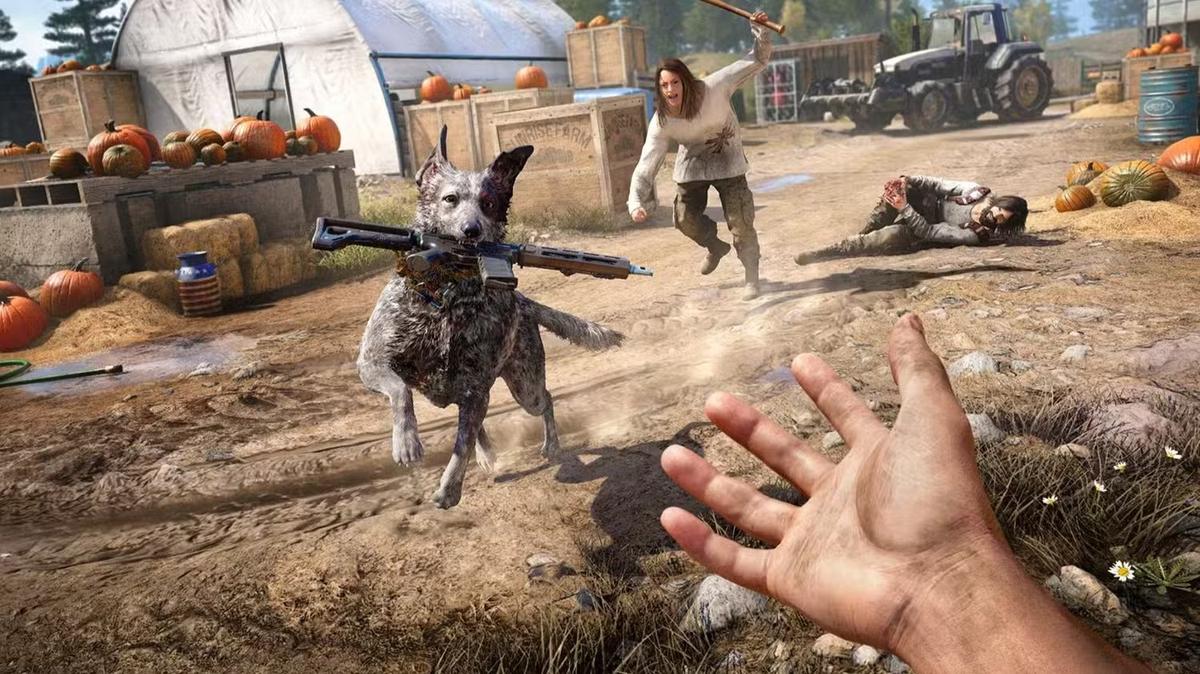 Фото: Far Cry 5